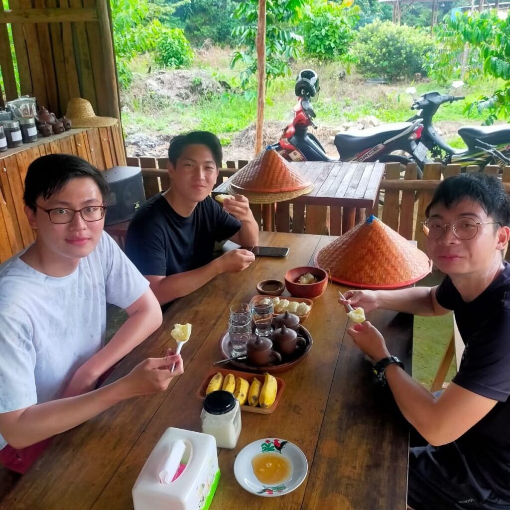 Coffee Plantations & Honey Bee Farms