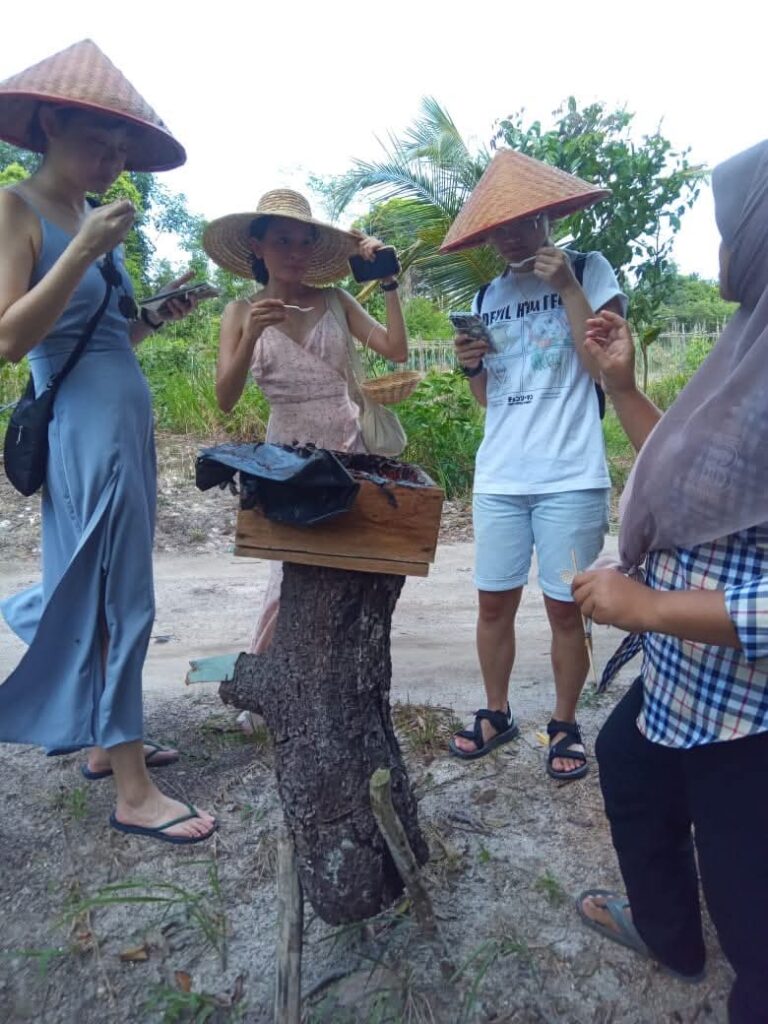 Coffee Plantations & Honey Bee Farms